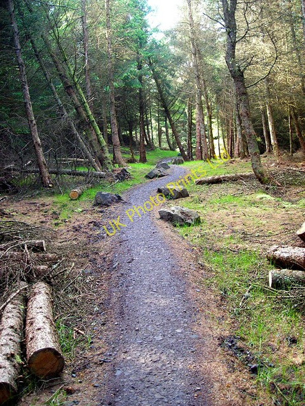 Photo 6"x4" Cycle  Trail in Carron Valley Forest High Banton c2007