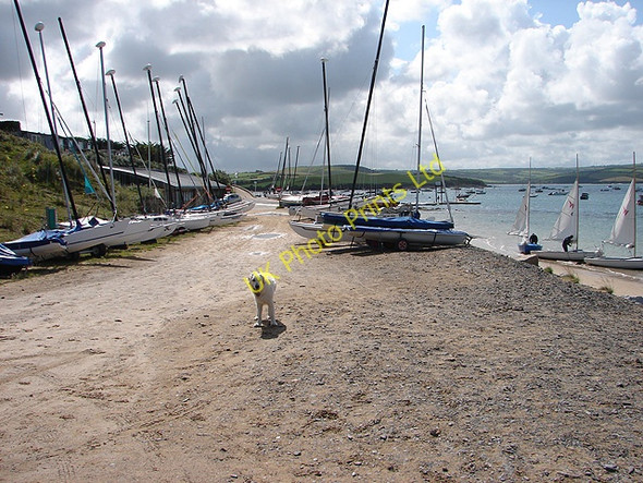 Photo 6"x4" Sailing dinghies at Rock - and a friendly dog Padstow c2007