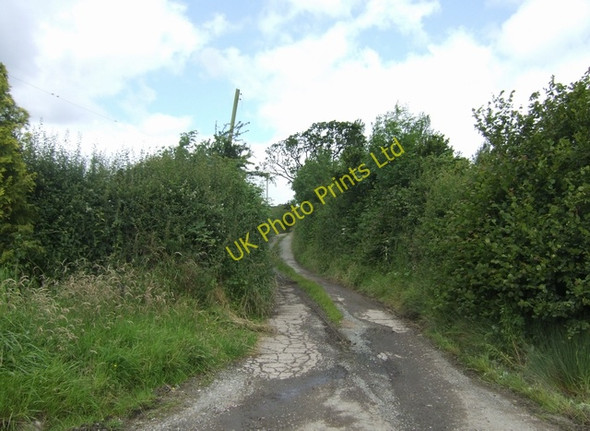 Photo 6"x4" Track to 'The Grove Farm' Aston Pigott c2007