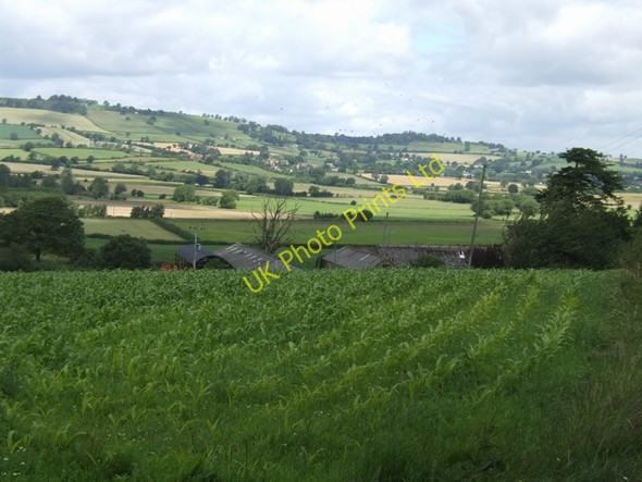 Photo 6"x4" Lower Grimmer Farm Etsell c2007