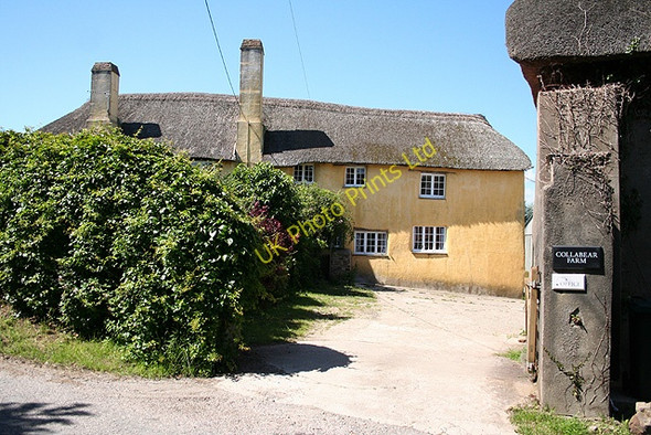 Photo 6"x4" Tawstock: Collabear Farm Uppacott\/SS5528 c2007