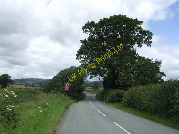 Photo 6"x4" Brockton to Minsterley Road Leigh\/SJ3303 c2007