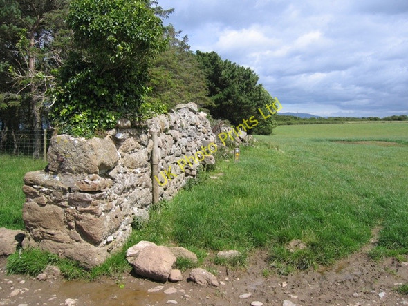 Photo 6"x4" The Anglesey Coastal Path at Dinmor Park Penmon c2007