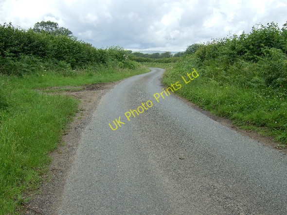 Photo 6"x4" Fforest Road Degar c2007