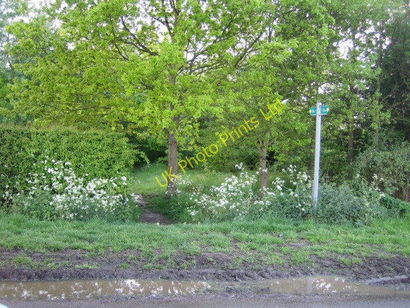 Photo 6"x4" Footpath near Steeple Claydon 2 North End\/SP7027 c2007