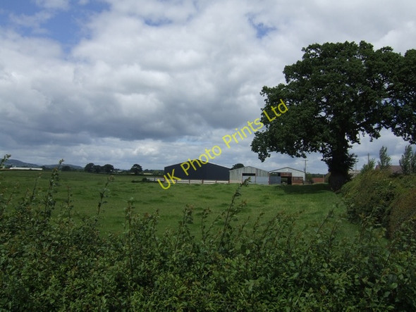 Photo 6"x4" Barns at Siteley Farm Hinwood c2007