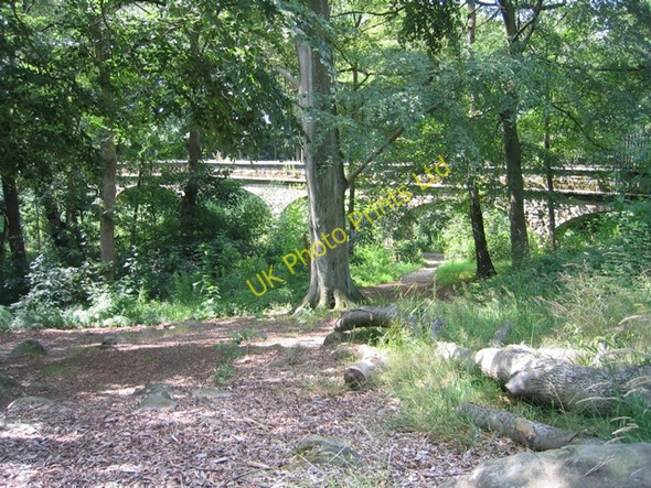 Photo 6"x4" Seven Arches Aqueduct over Adel Beck #3 Adel c2004