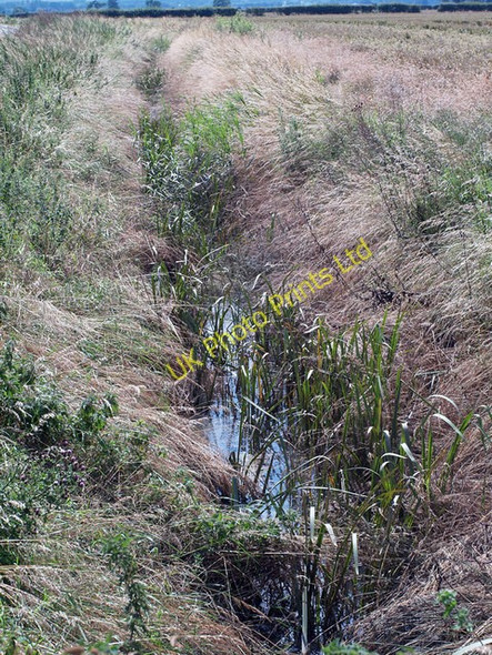 Photo 6"x4" Ditch along Carr Lane, Bonby Bonby c2007