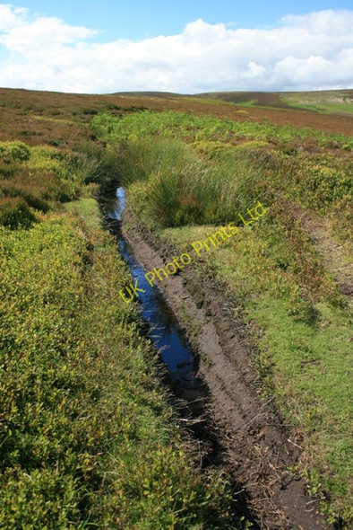 Photo 6"x4" Path Alongside the South side of Barnley Beck Colsterdale c2007
