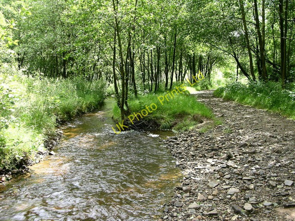 Photo 6"x4" Footpath beside Red Brook Ramsbottom c2007