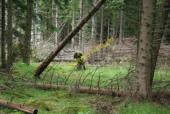 Photo 6"x4" Is it a .... ? Towiemore c2007