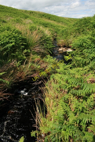 Photo 6"x4" Barnley Beck West Scrafton c2007