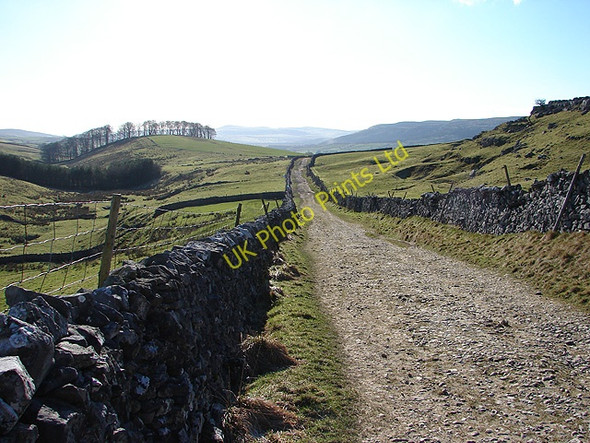 Photo 6"x4" The Pennine Way at Horton Scar Brackenbottom c2007