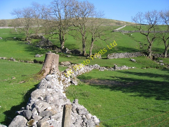 Photo 6"x4" Stone Wall and Gordale Beck above Janet's Foss Malham\/SD9062 c2007