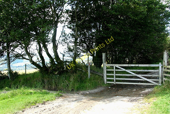 Photo 6"x4" Challacombe: Two Gates Swincombe c2007