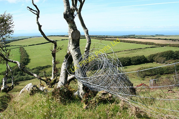 Photo 6"x4" Parracombe: Parracombe Common Swincombe c2007