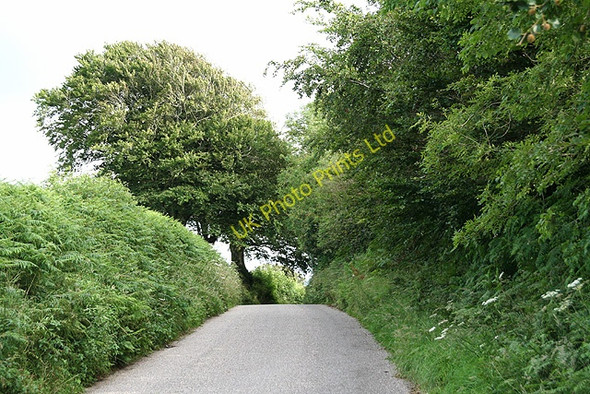 Photo 6"x4" West Buckland: towards Catriage Hill Elwell\/SS6631 c2007