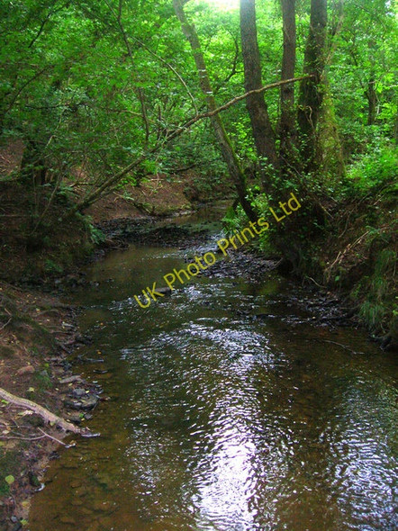 Photo 6"x4" River Dudwell Punnett's Town c2007