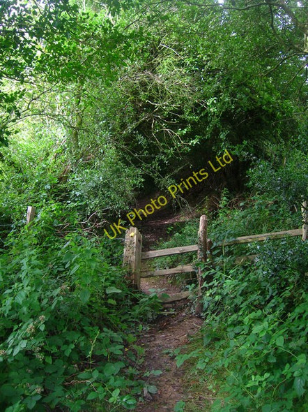 Photo 6"x4" Collapsing Stile near Greenwoods Farm Three Cups Corner c2007