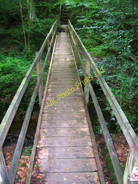 Photo 6"x4" Footbridge, Dallington Forest Dallington\/TQ6519 c2007
