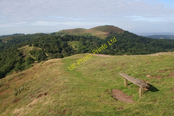 Photo 6"x4" Simple Bench Seat, Black Hill Brand Green\/SO7641 c2007