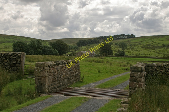 Photo 6"x4" Gate to Gilberton Farm Tarnbrook c2007