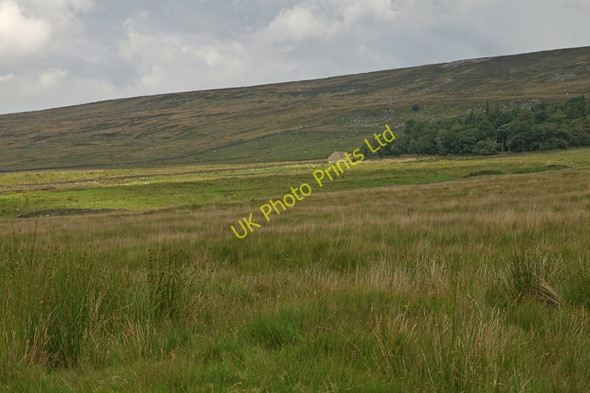 Photo 6"x4" Moss End Tarnbrook c2007