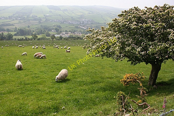 Photo 6"x4" Near Cushendun Cushendun c2007