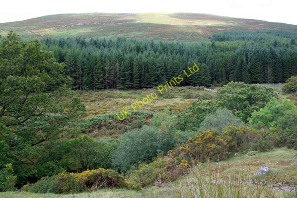 Photo 6"x4" The Southern Slopes of Whin Rigg. Boot c2007