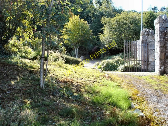 Photo 6"x4" Walled garden gate at Slieve Gullion Flurrybridge c2007