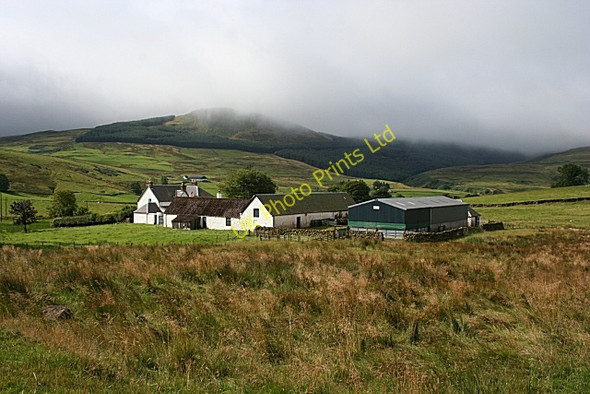 Photo 6"x4" Spittalhill Farm Fintry\/NS6186 c2007