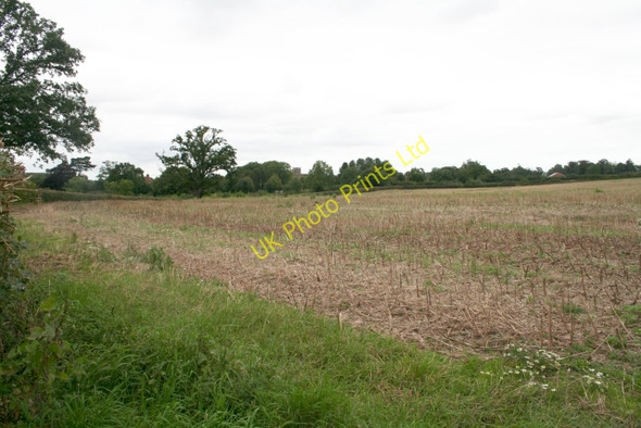 Photo 6"x4" Stubble near Norton Grange Farm Hatfield\/SO8750 c2007