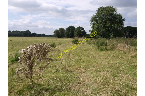Photo 6"x4" Field beside Mill Stream Chilton Cantelo c2007