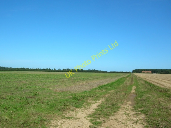 Photo 6"x4" Farmland at Egmere Egmere c2007