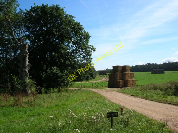Photo 6"x4" Bales on Holkham estate New Holkham c2007