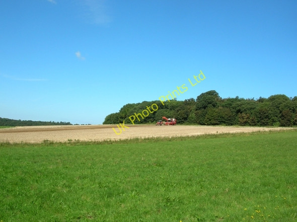 Photo 6"x4" Harvesting at Holkham New Holkham c2007
