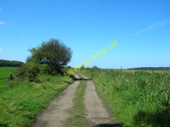 Photo 6"x4" Lane over the marshes Wells-Next-The-Sea c2007