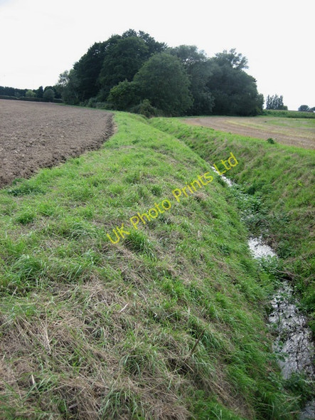 Photo 6"x4" Watercourse leading into Aldercar near New Hall Horsleycross Street c2007