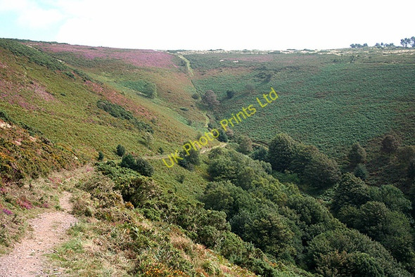 Photo 6"x4" Selworthy: above Lynch Combe Allerford\/SS9047 c2007