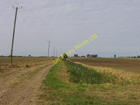Photo 6"x4" Bed of Turves-Benwick goods branch, Whittlesey, Cambs Flood's Ferry c2007 P1