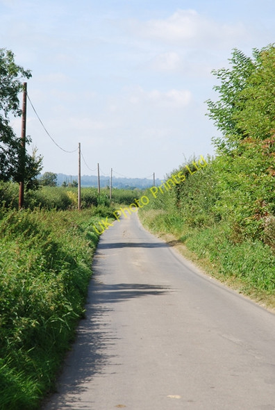 Photo 6"x4" Nyland Lane towards Higher Nyland Lower Nyland c2007