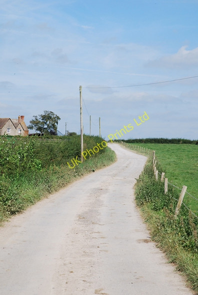 Photo 6"x4" Road to Mohuns Park Higher Marsh c2007