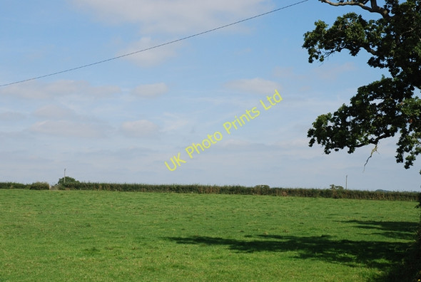 Photo 6"x4" Fields of Mohuns Park Higher Marsh c2007