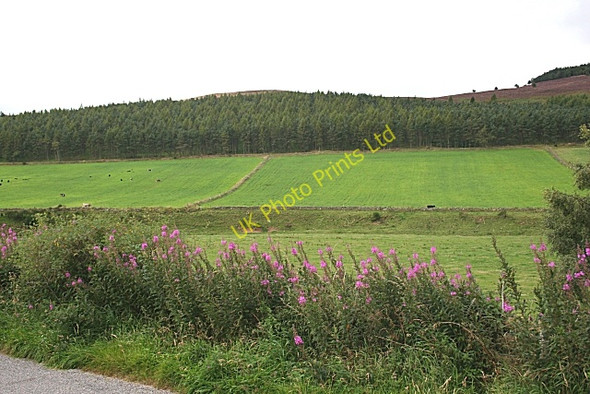 Photo 6"x4" Cranniecat Hill Tullynessle c2007