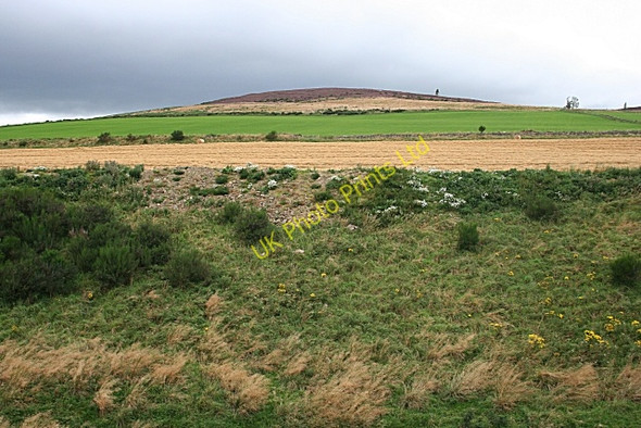 Photo 6"x4" Cranniecat Hill Tullynessle c2007