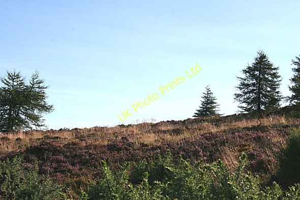 Photo 6"x4" Corse Hill Perkhill c2007