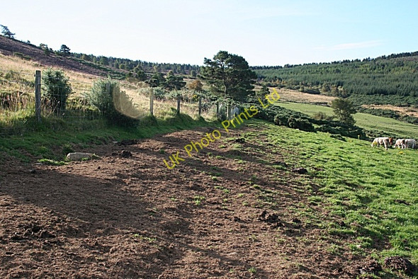 Photo 6"x4" Corse Hill Perkhill c2007