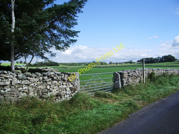 Photo 6"x4" Footpath to Ploveriggs Hardendale c2007