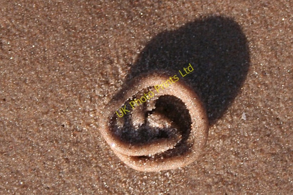 Photo 6"x4" Sand Worm Cast on Findhorn Beach Findhorn c2007