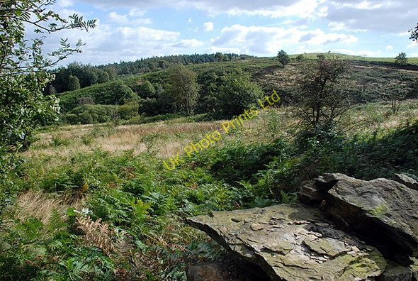Photo 6"x4" Towards Smeekley Wood Lydgate\/SK3077 c2007